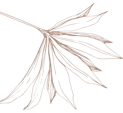 Leaf Graphic__Left