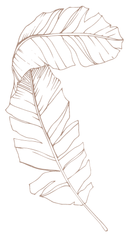 Leaf5_right