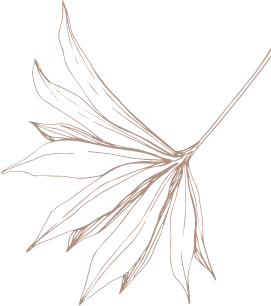 bannerLeaf_Graphic