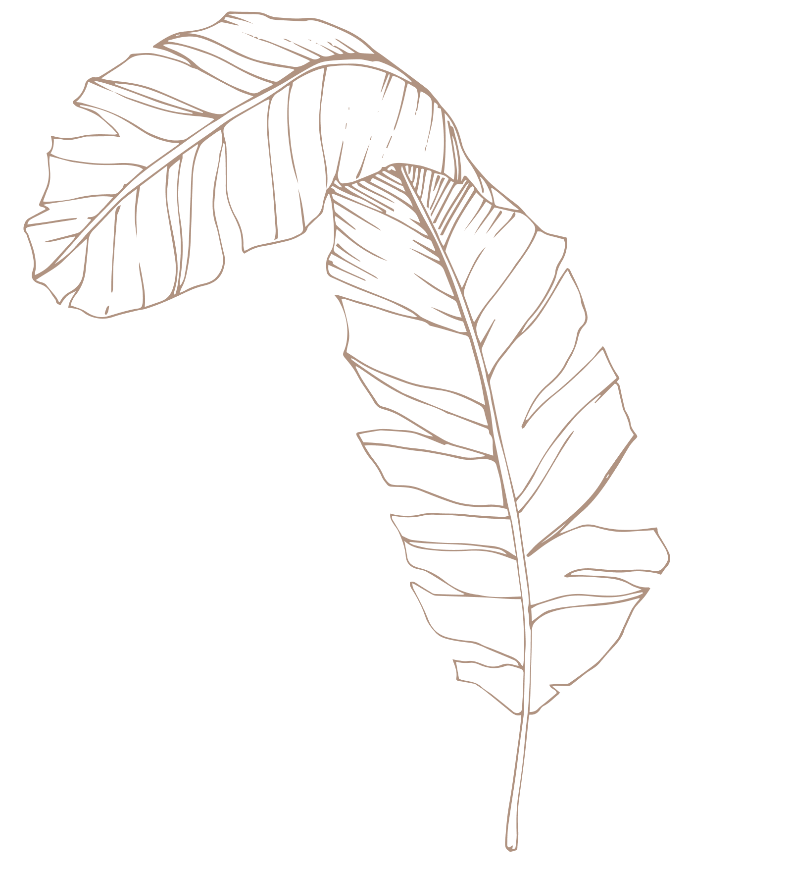 leaf-teen