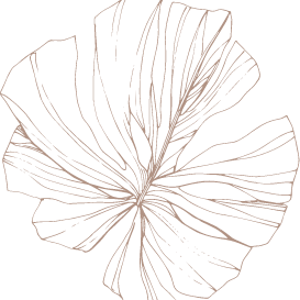 iStock-1179235443_circle palm